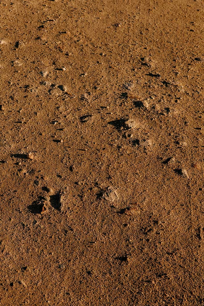 dirt