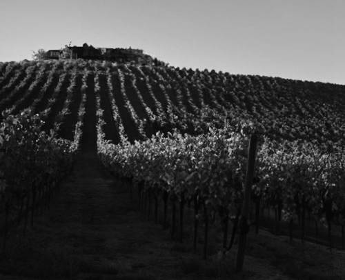 rows_bw